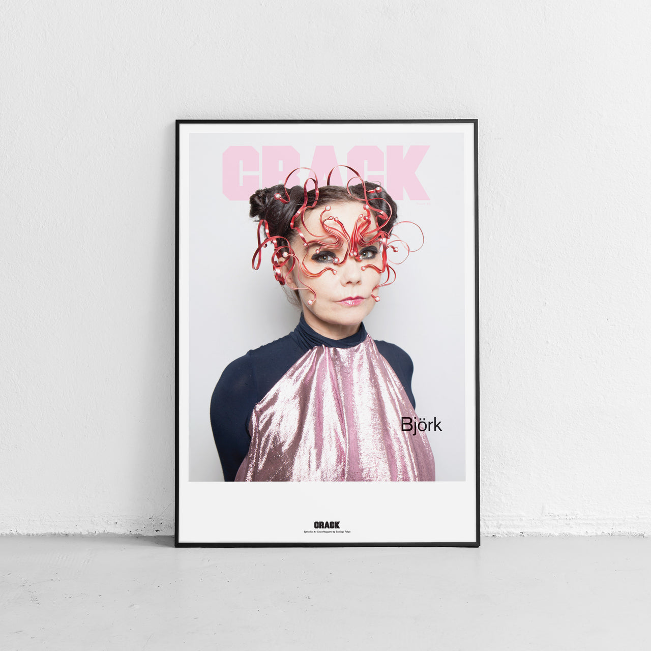 Issue 68: Björk Cover Print